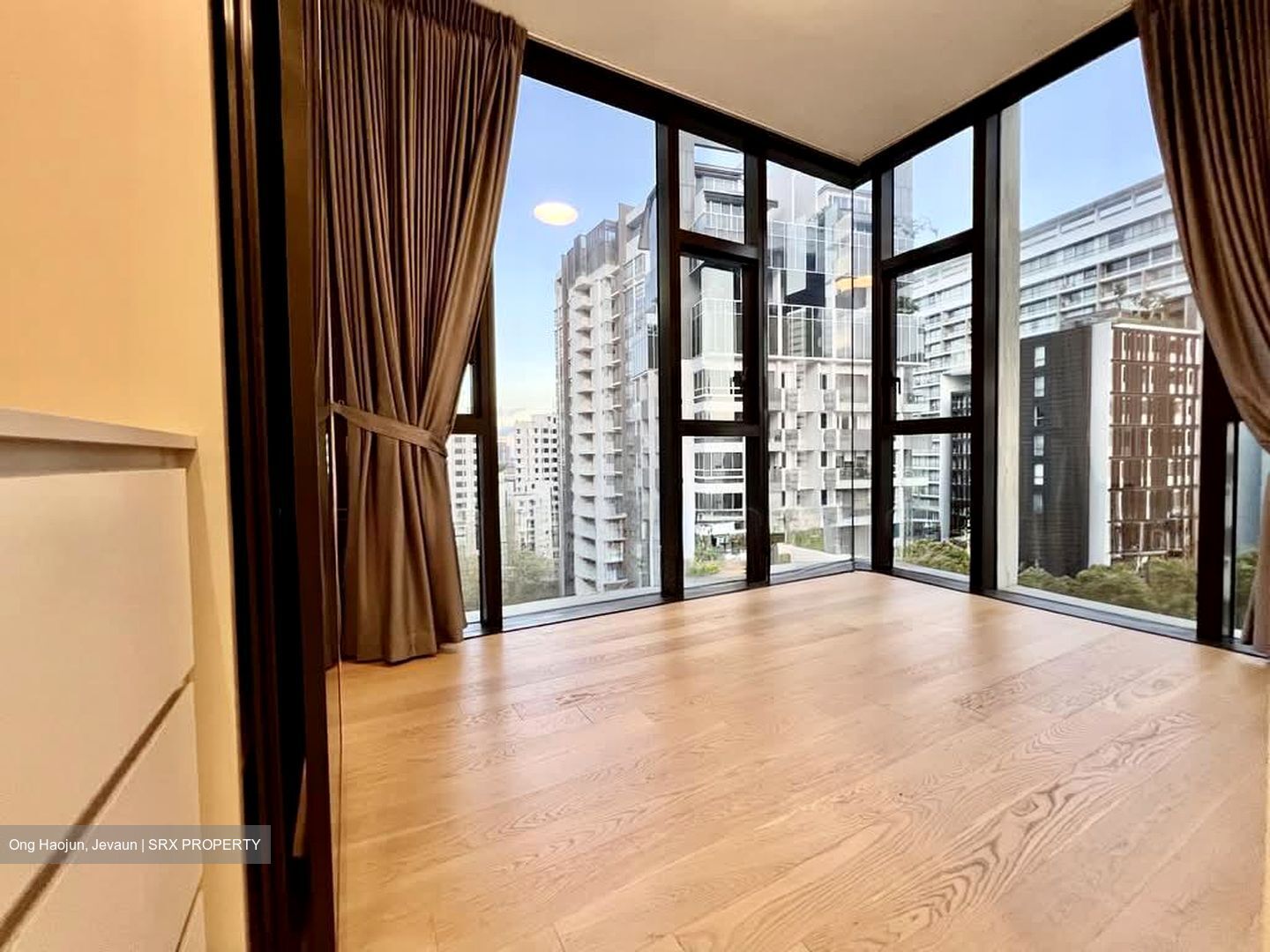 Scotts Road (D9), Condominium #565598501